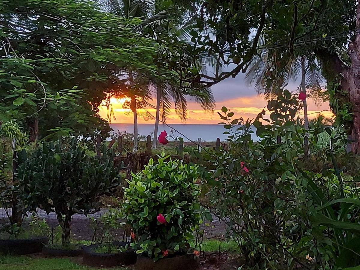 Hotel Gitana Corcovado, Y Tour Operador Drakes Bay Kültér fotó