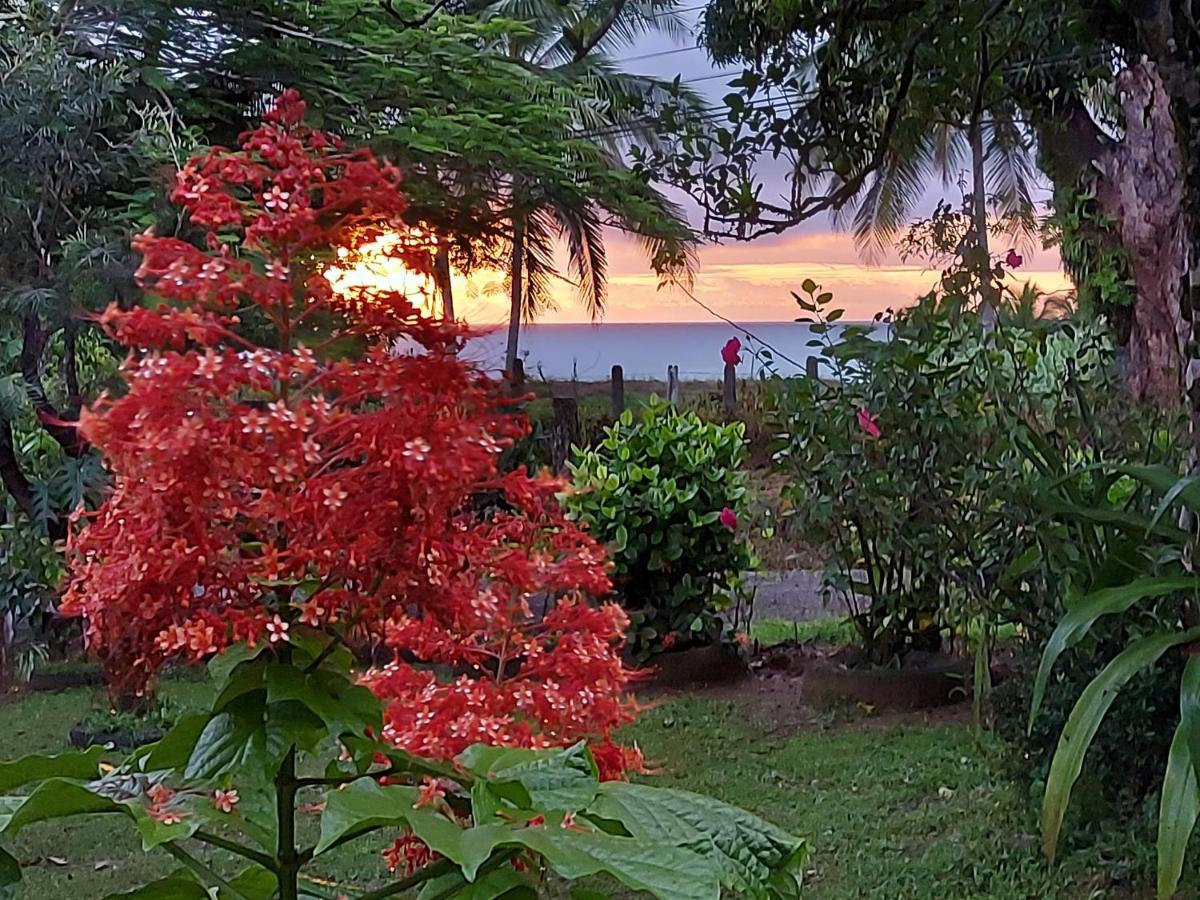 Hotel Gitana Corcovado, Y Tour Operador Drakes Bay Kültér fotó