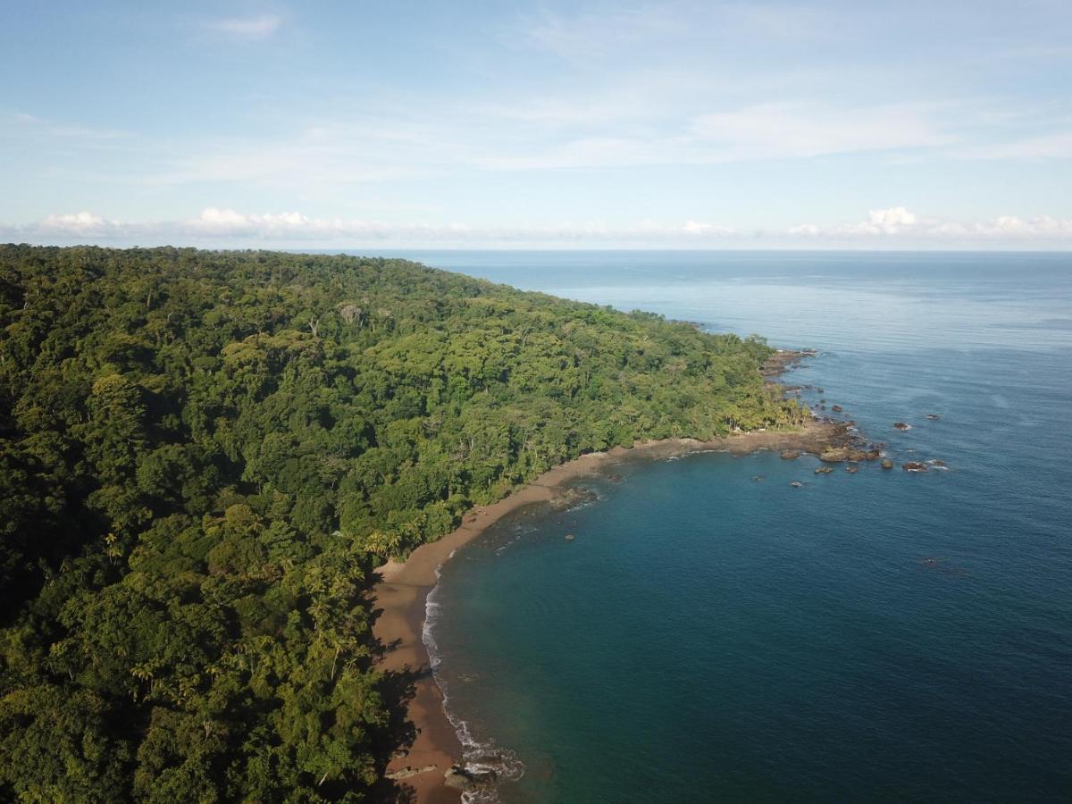 Hotel Gitana Corcovado, Y Tour Operador Drakes Bay Kültér fotó