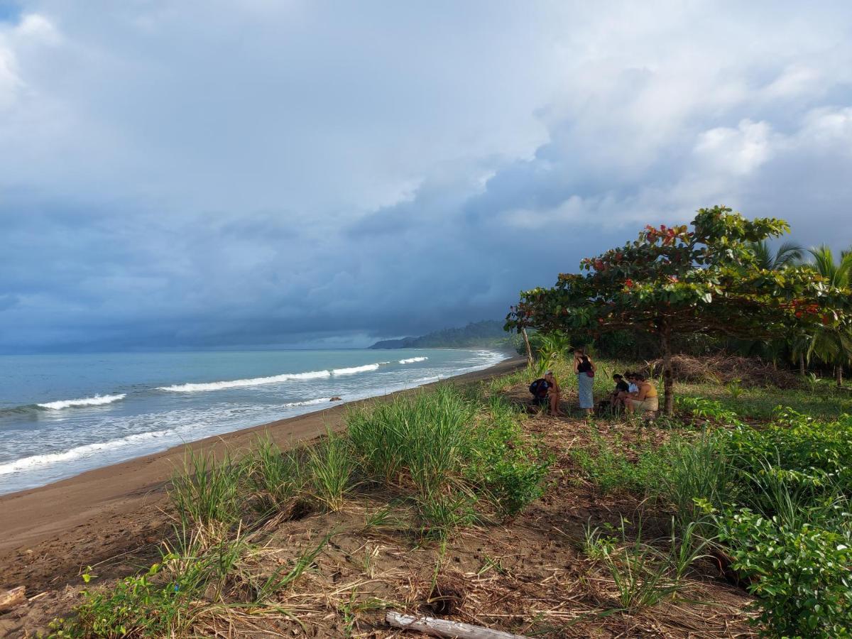 Hotel Gitana Corcovado, Y Tour Operador Drakes Bay Kültér fotó