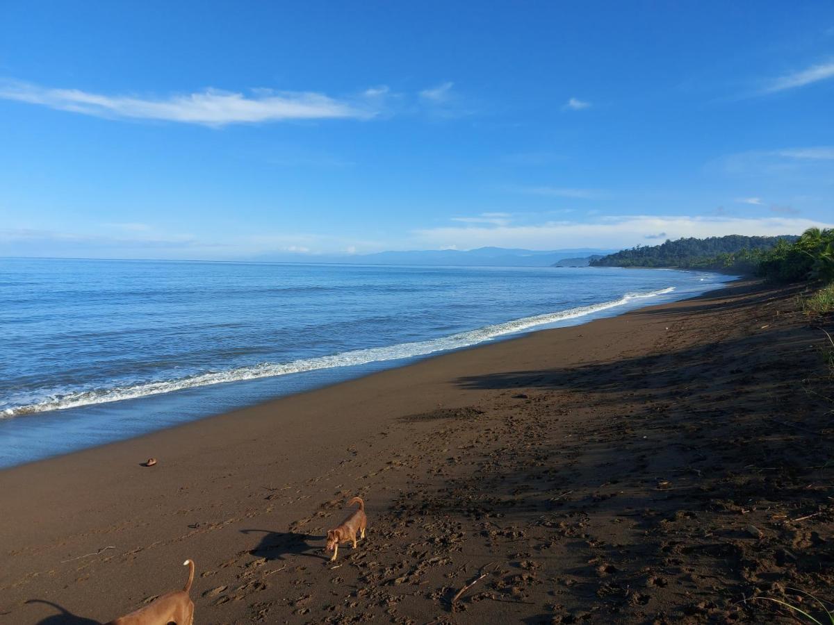 Hotel Gitana Corcovado, Y Tour Operador Drakes Bay Kültér fotó