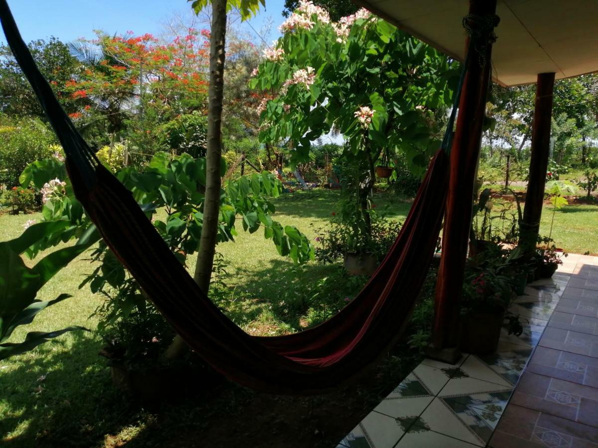 Hotel Gitana Corcovado, Y Tour Operador Drakes Bay Kültér fotó